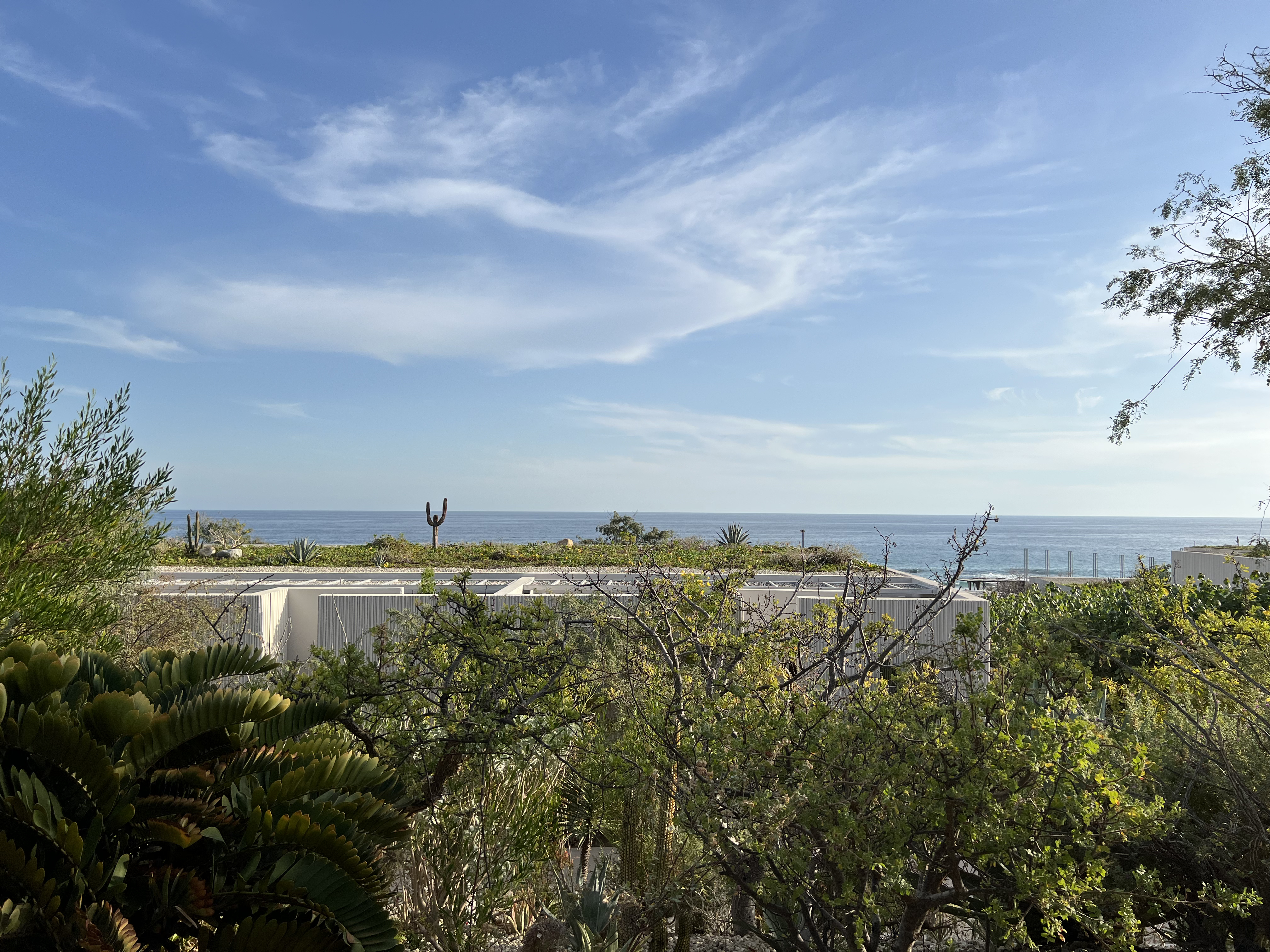 ./2024/13 - Cabo/IMG_4139.jpg